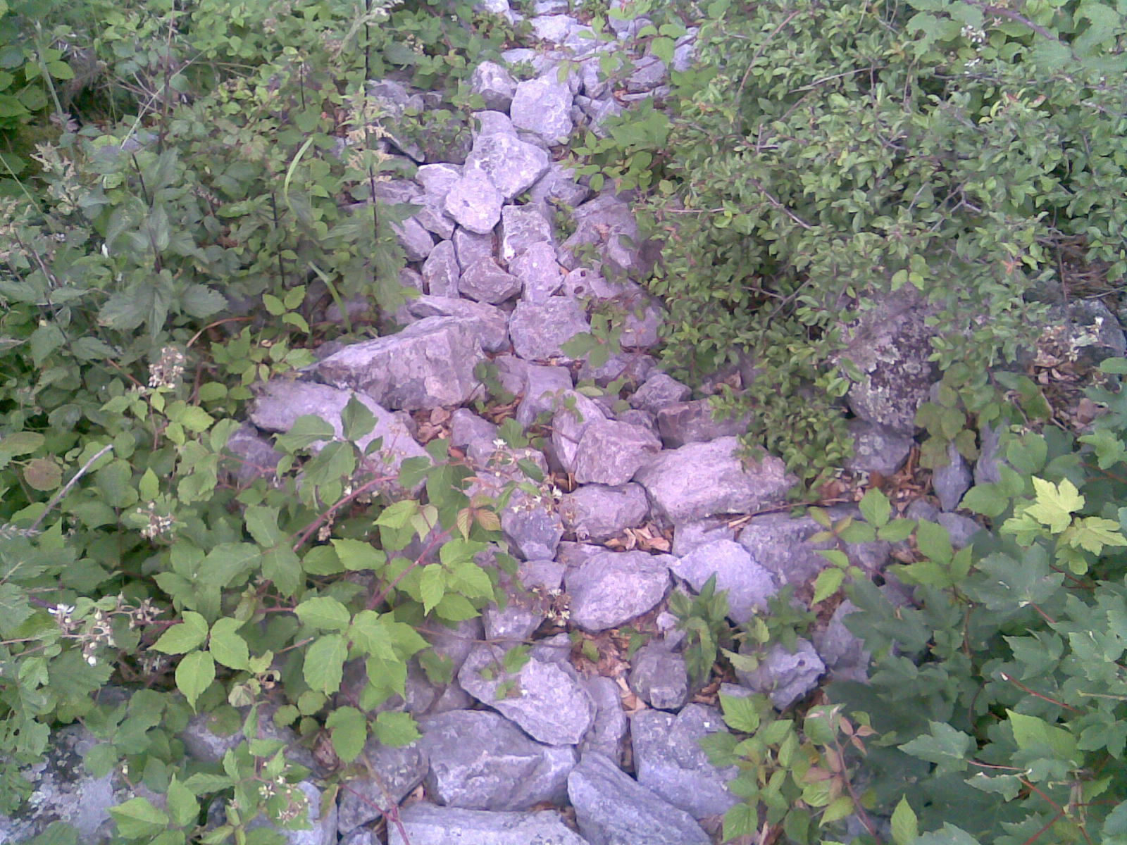 Kő-ösvény