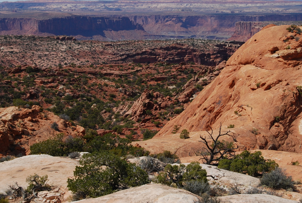 US 2011 Day11  040 Island In The Sky, Canyonlands NP, UT