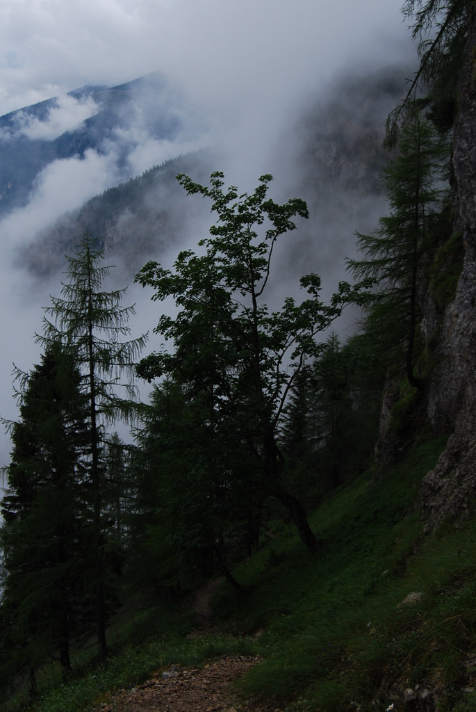 20110728 041 Alpenvereinssteig, Höllental, Rax, AT