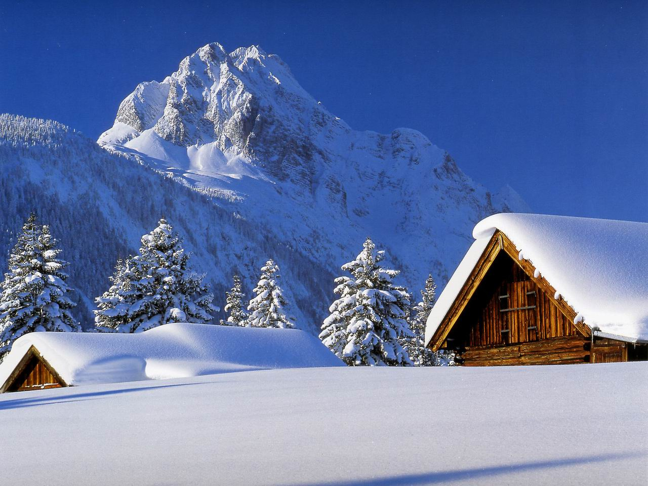 Cottage in Snow