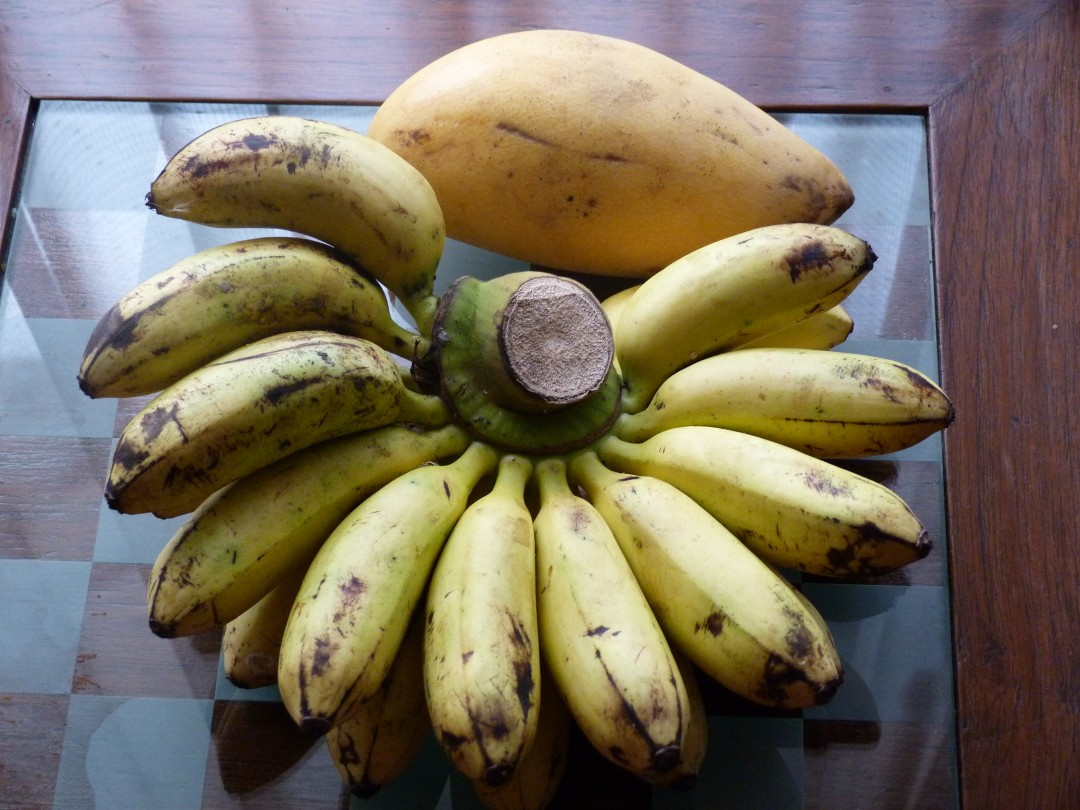 thai banana+mangóóó csandélet