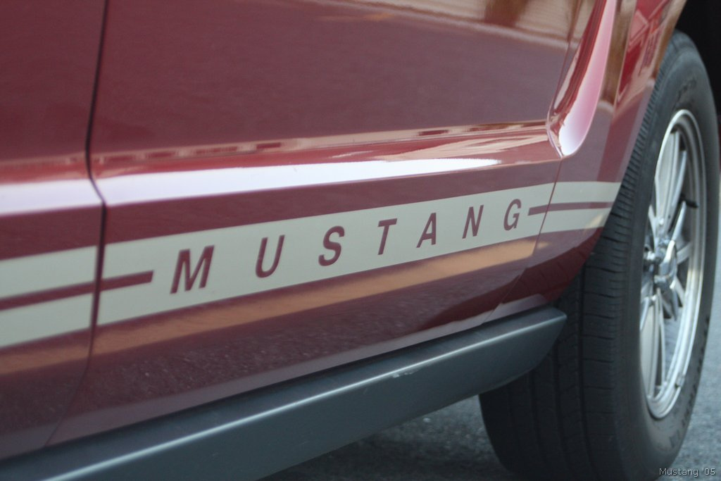 Mustang 19