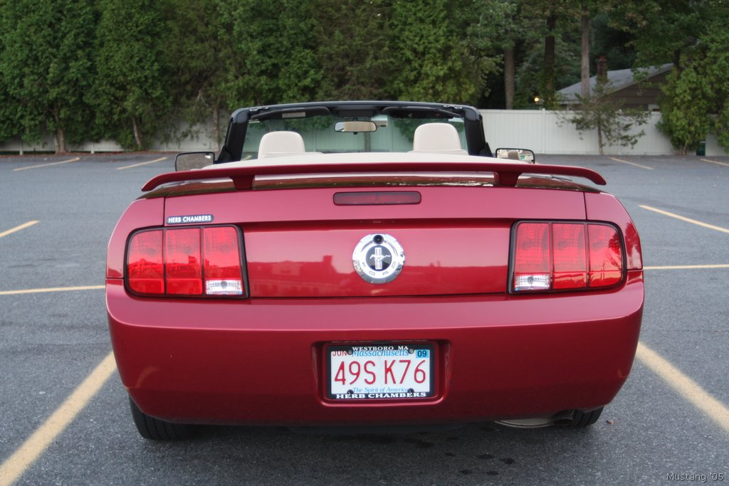 Mustang 43