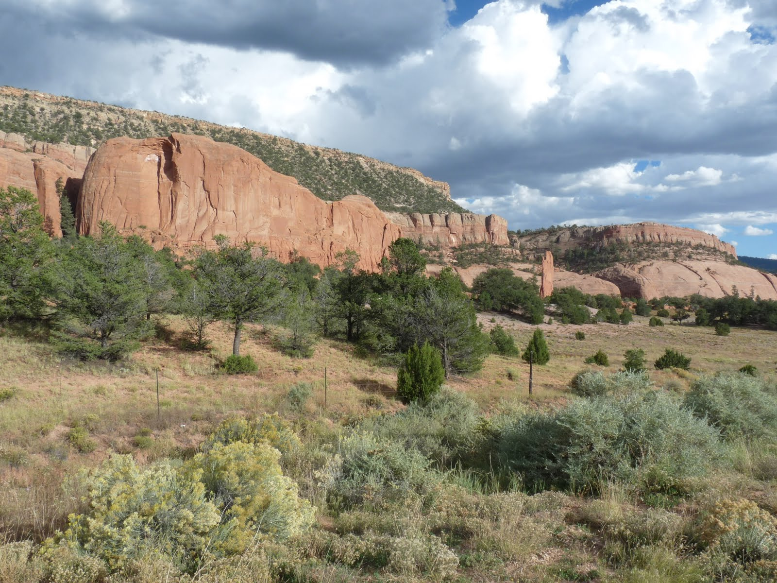 174Southwest Canyon de Chelly