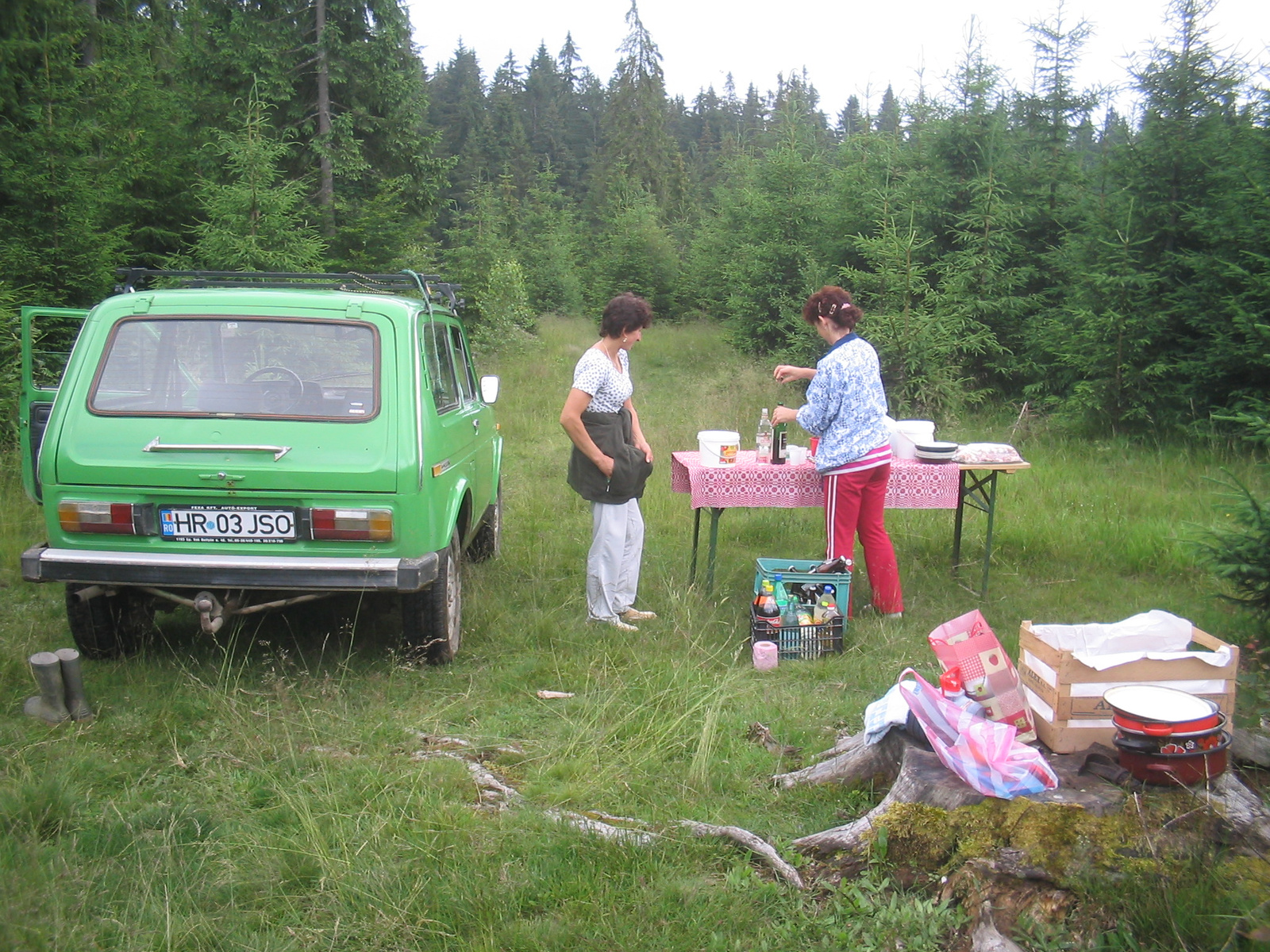 ...piknik az erdőben...