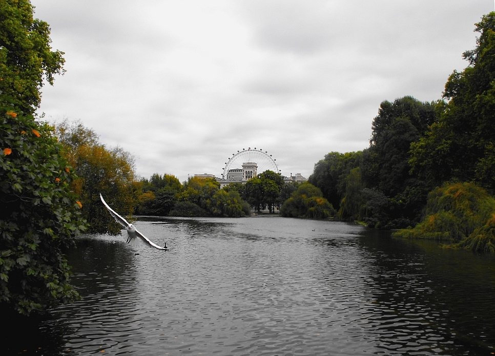 St. James's park