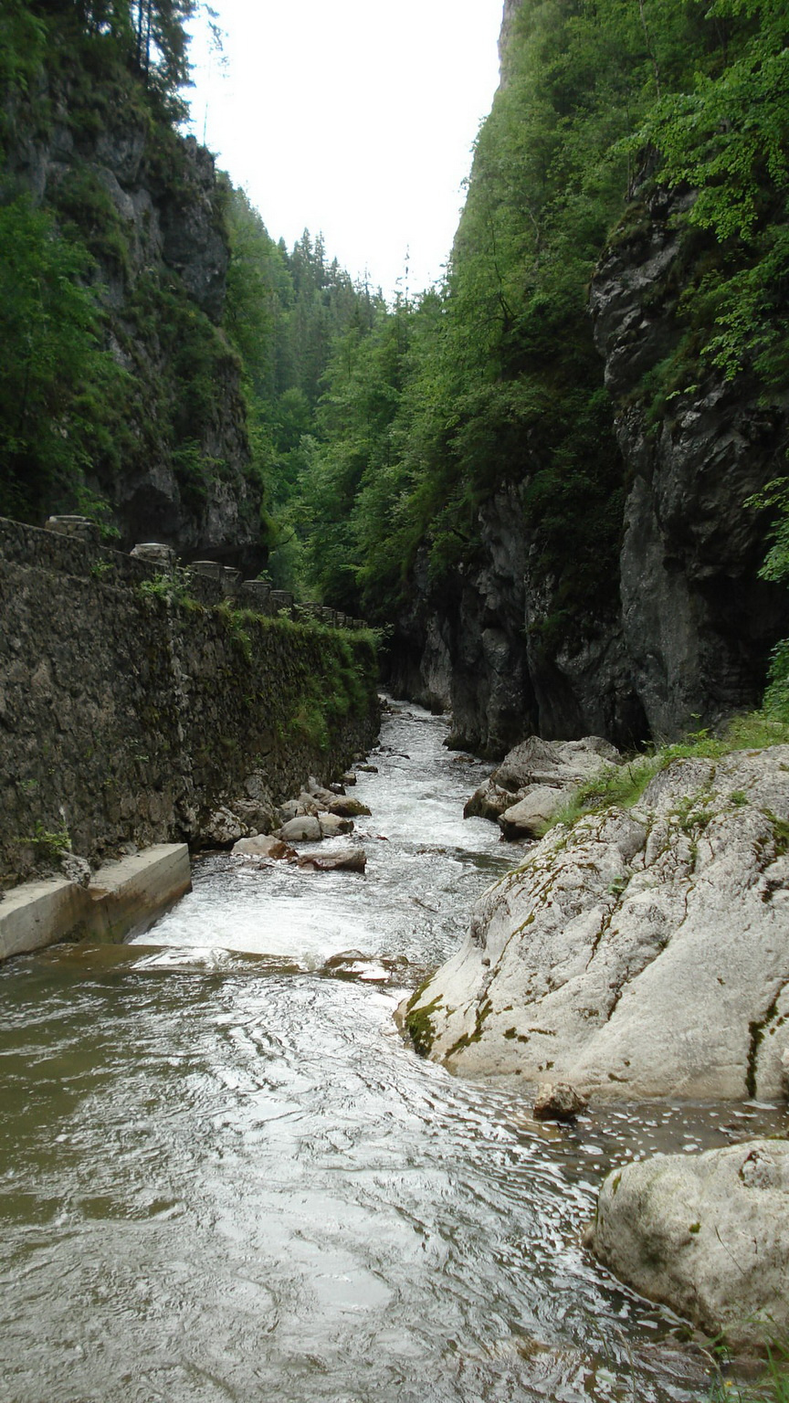 Békási-Szoros00191