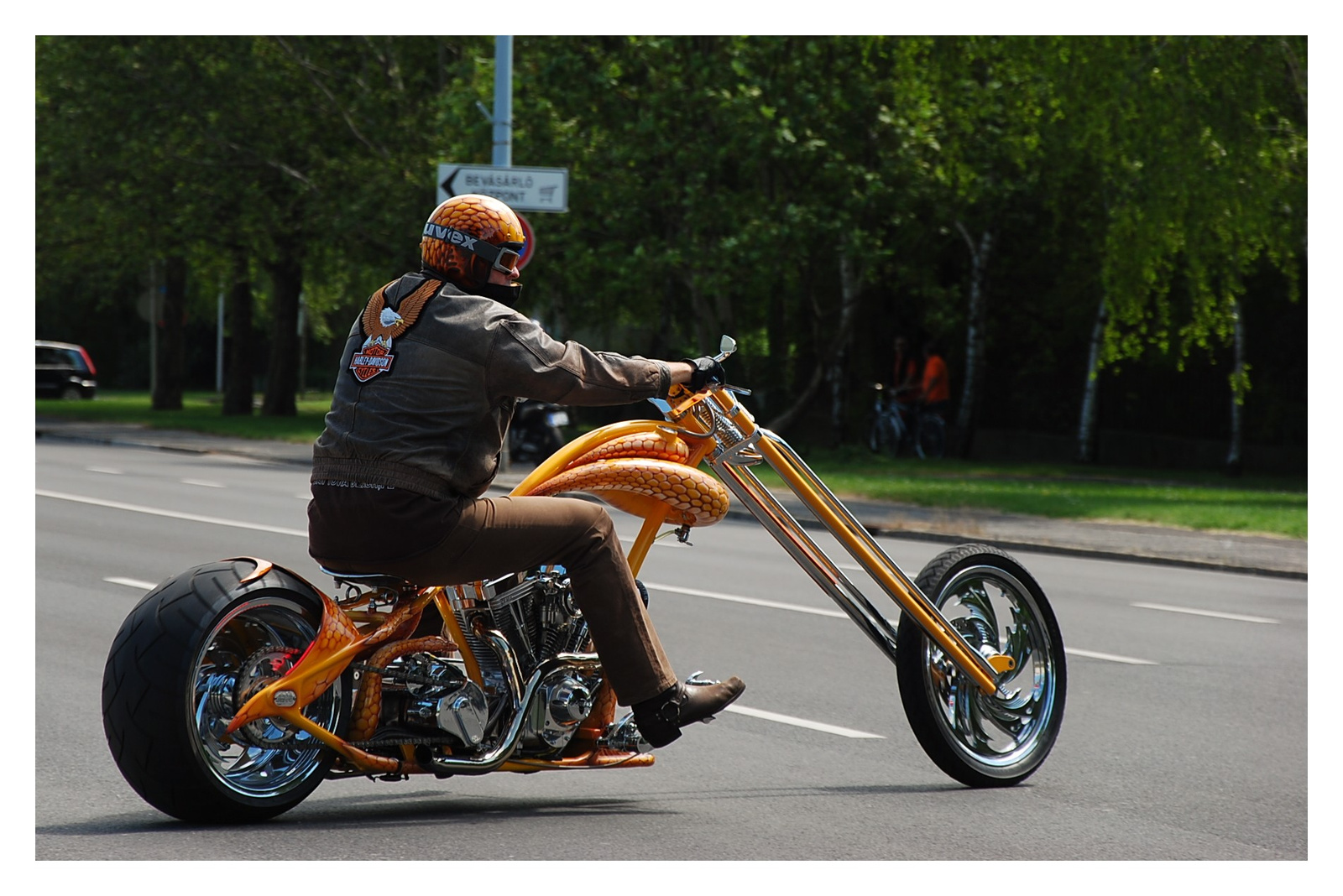 Custom bike