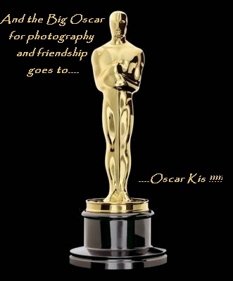 Oscar Gold Statue 2008