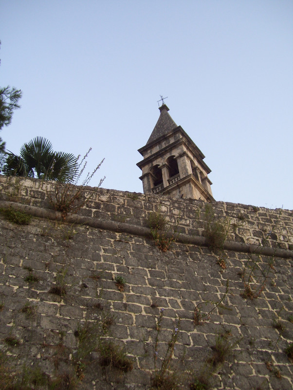 Ismét Kotor