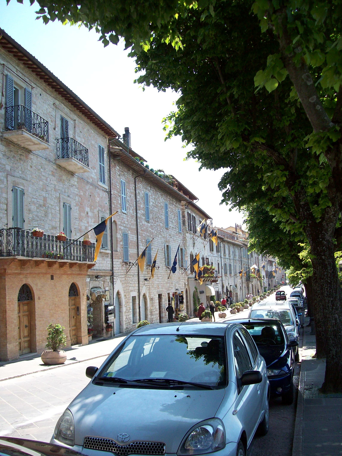 assisi08