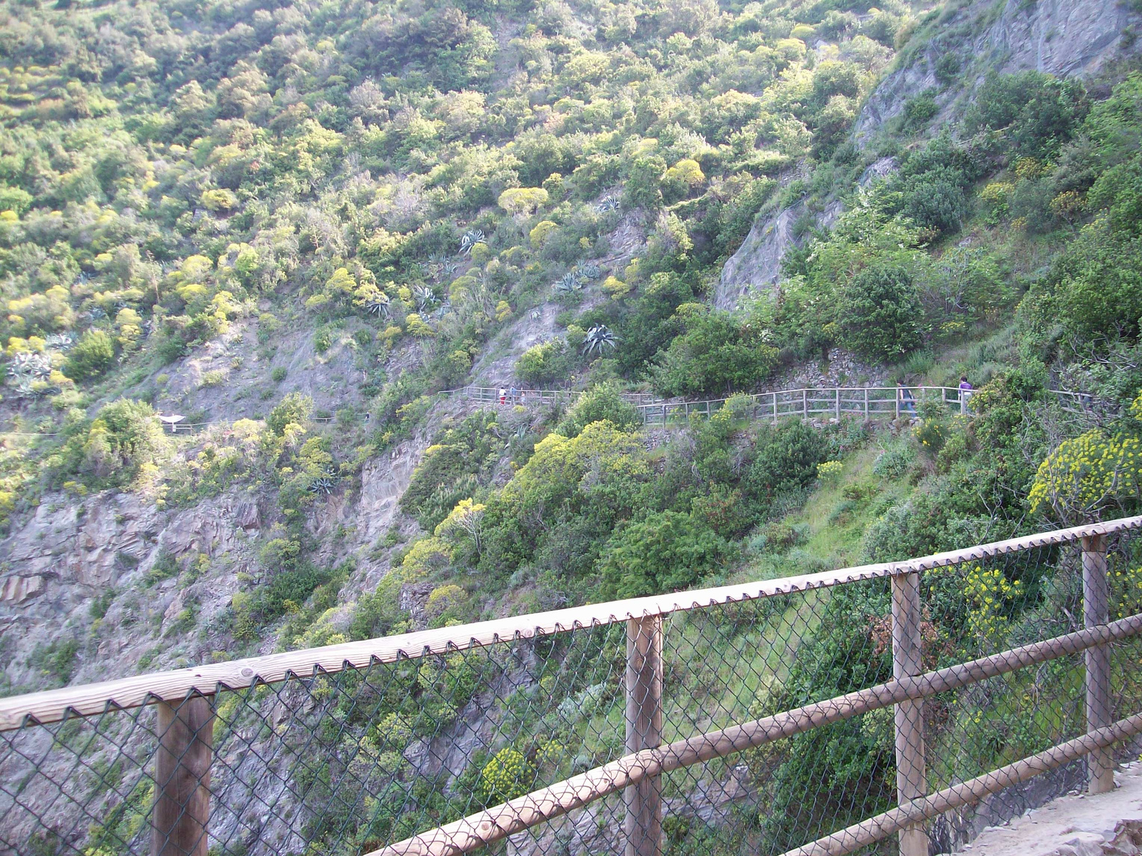 corniglia05