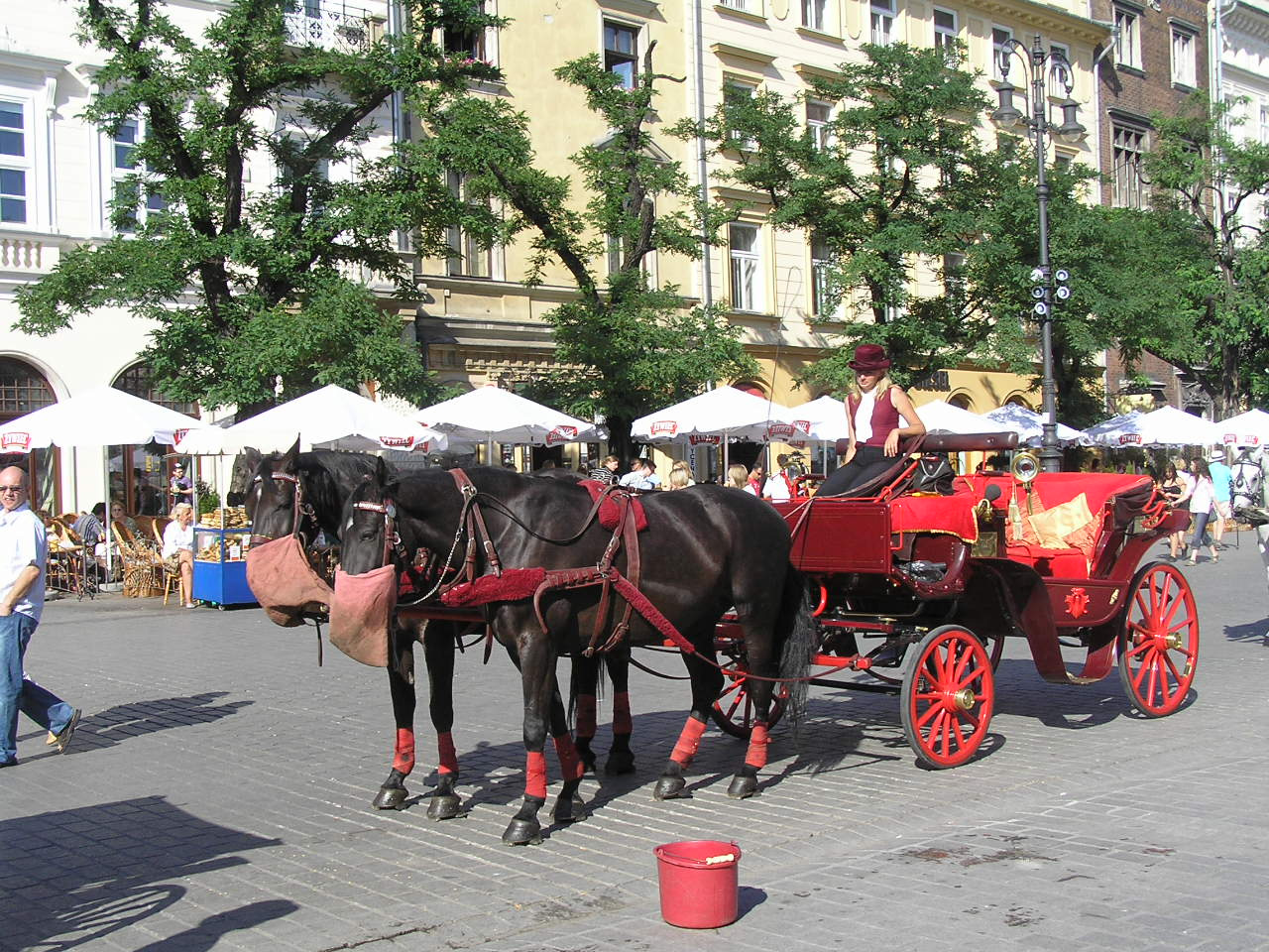 1056 Krakkó főtér