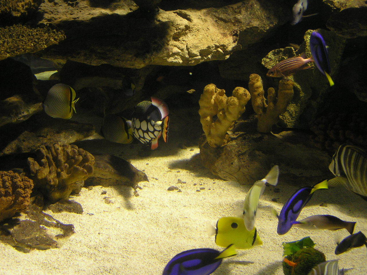 044 Cape Town Aquarium