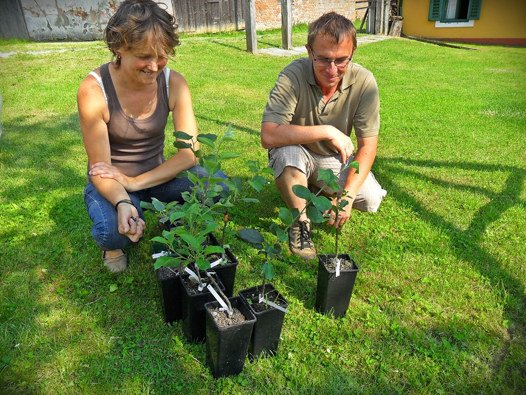 2011-06-02 csemeték