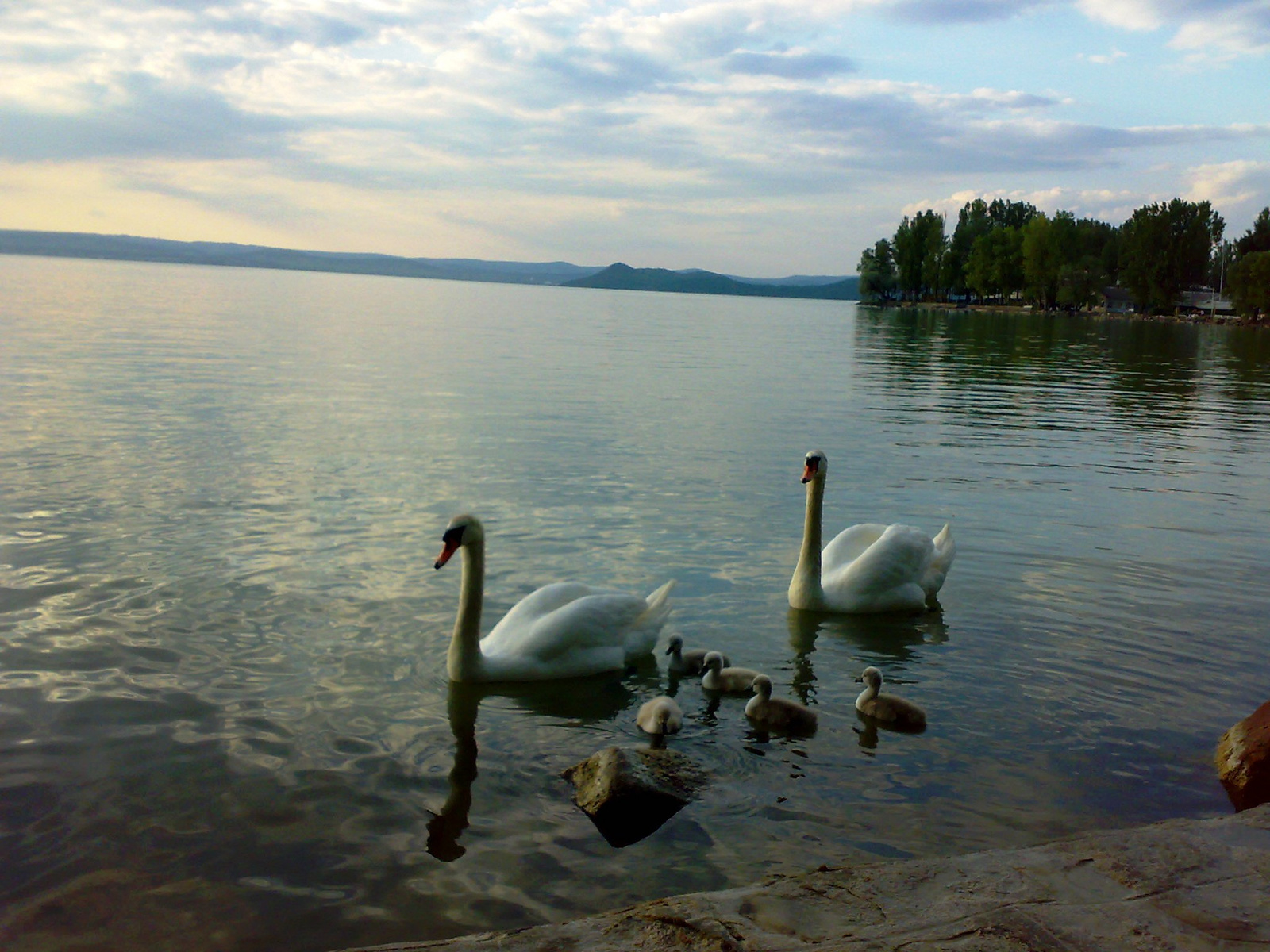 Balatonföldvár 20080509167