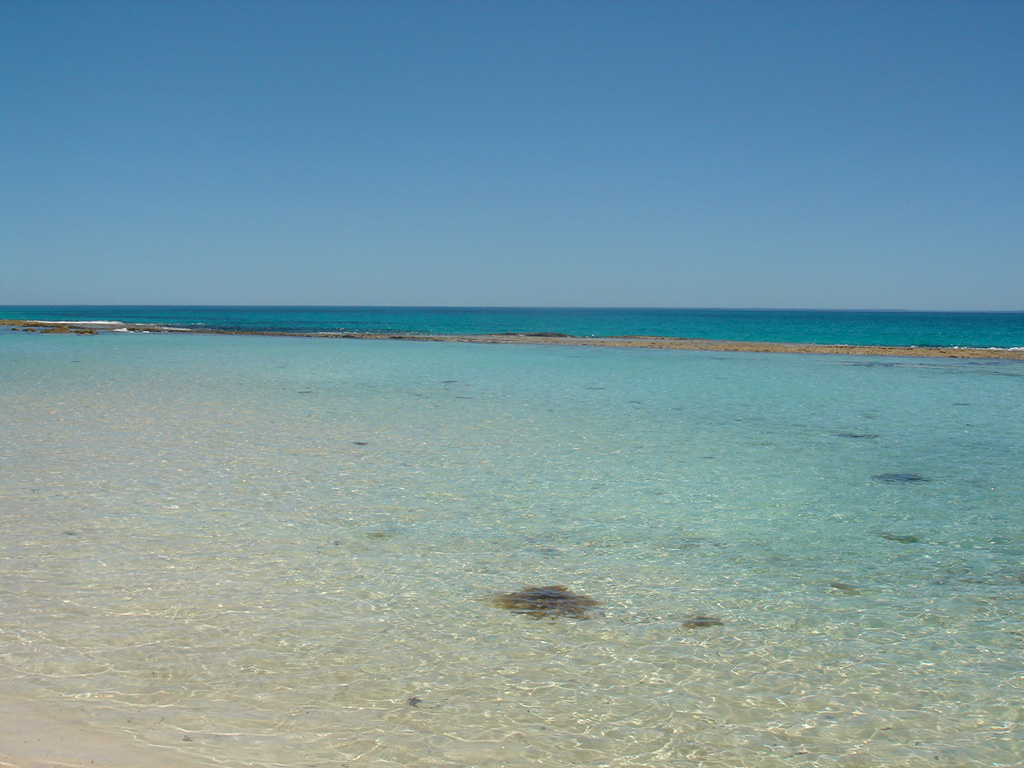 Australia 2007 -4- YANCHEP 352