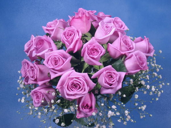 bigpinkroses