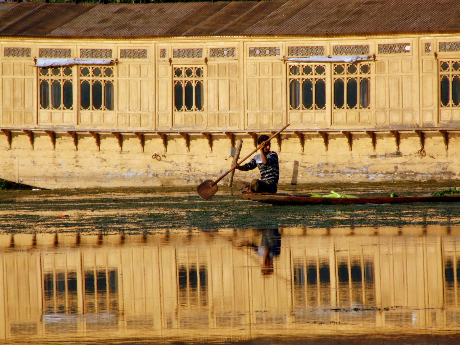 Srinagar: Dal lake