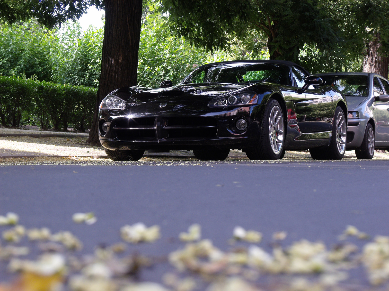 Dodge Viper