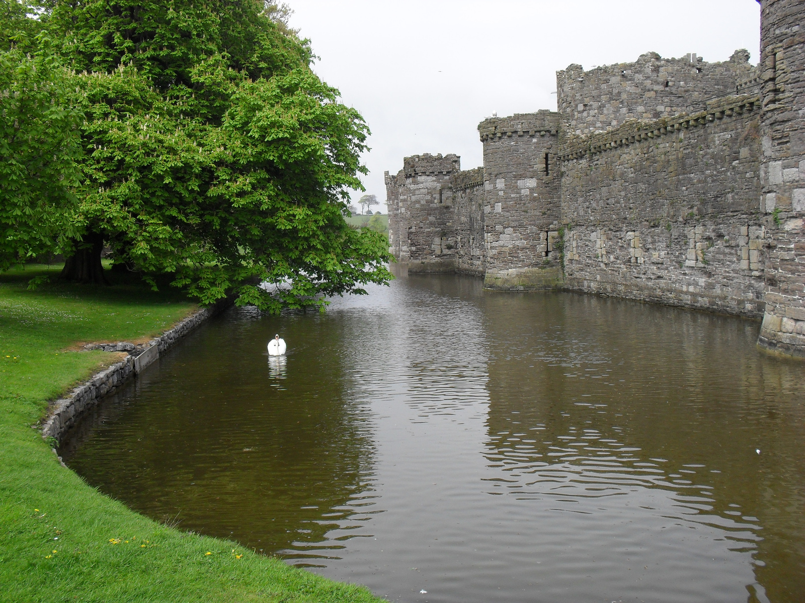 Beaumaris