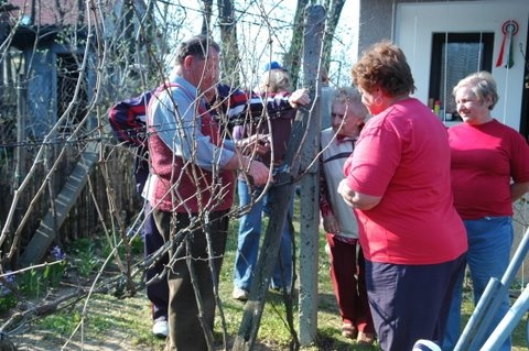 METSZÉS 2009.04.04. 041