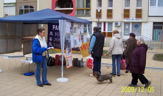 2009.12.05. Pécs, Berek 11.