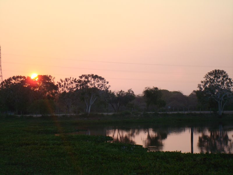 Pantanal