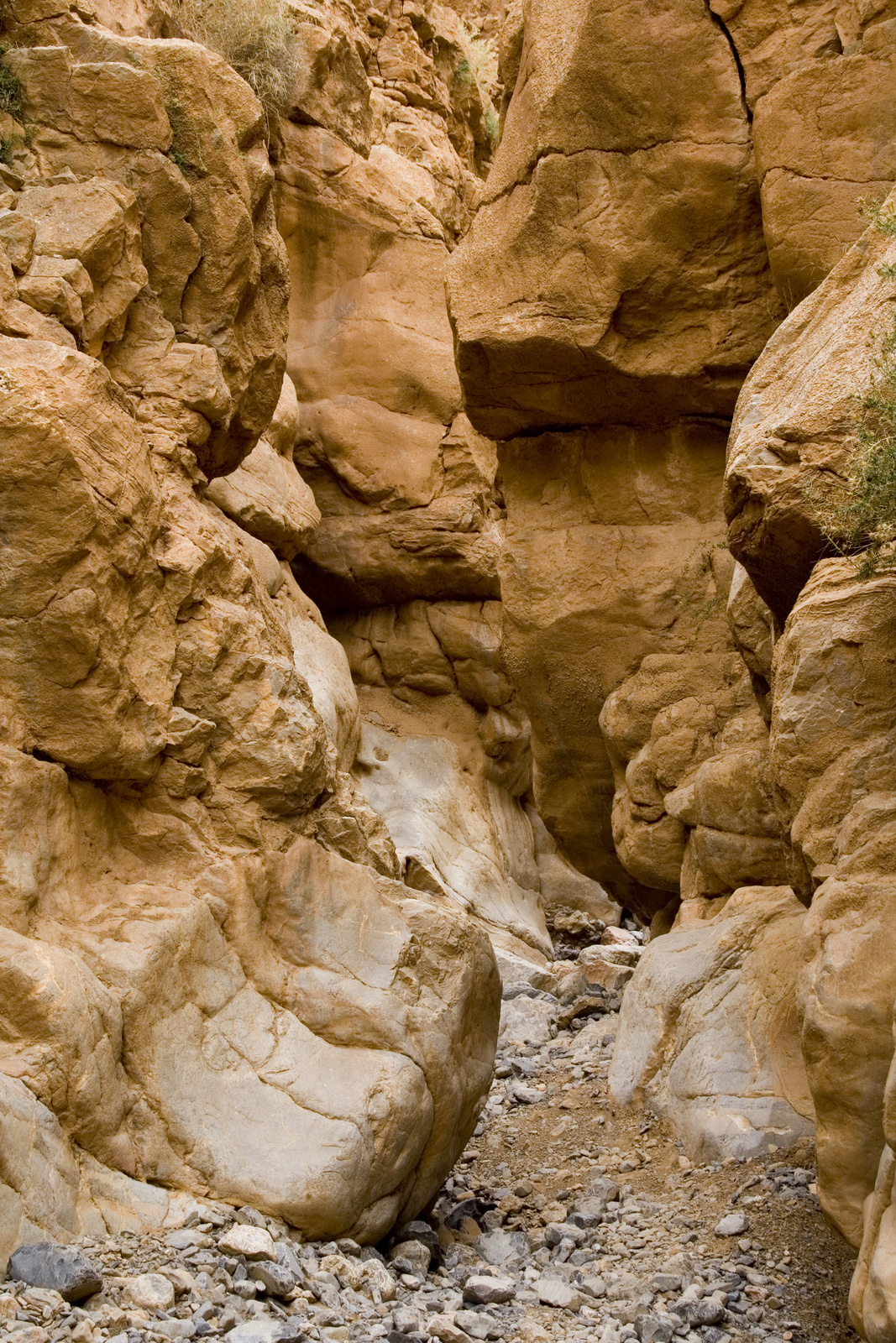 Gorges du Dades