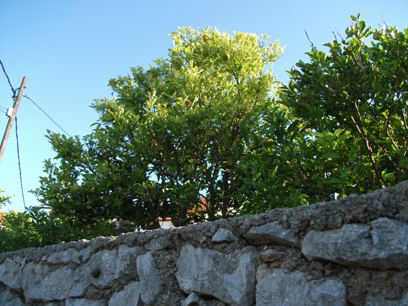 horvát losinj 2011 045