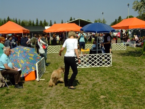 Szilvasvarad 2011 008