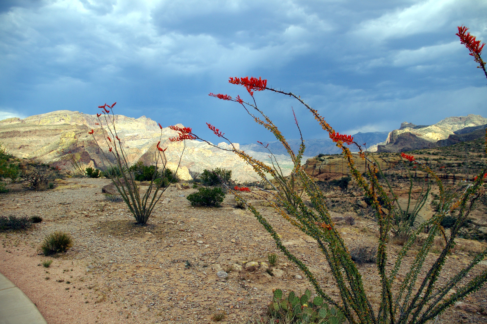 Arizonai táj