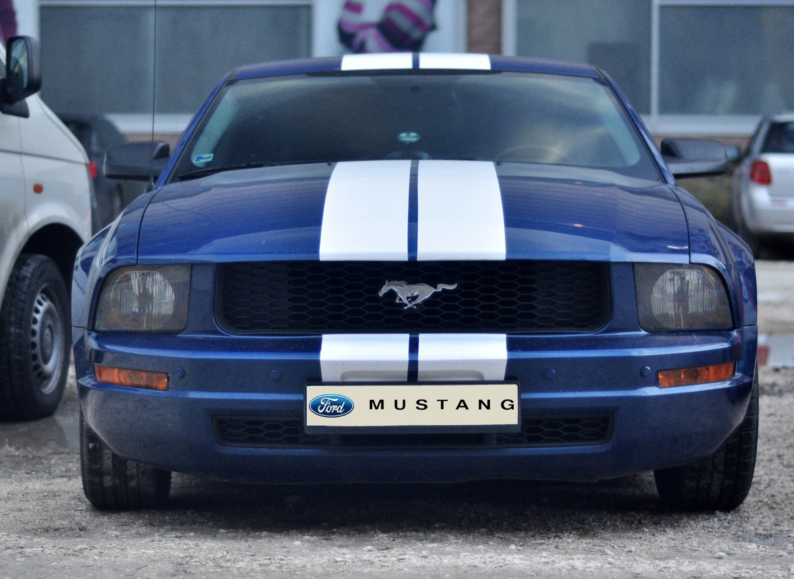 Mustang