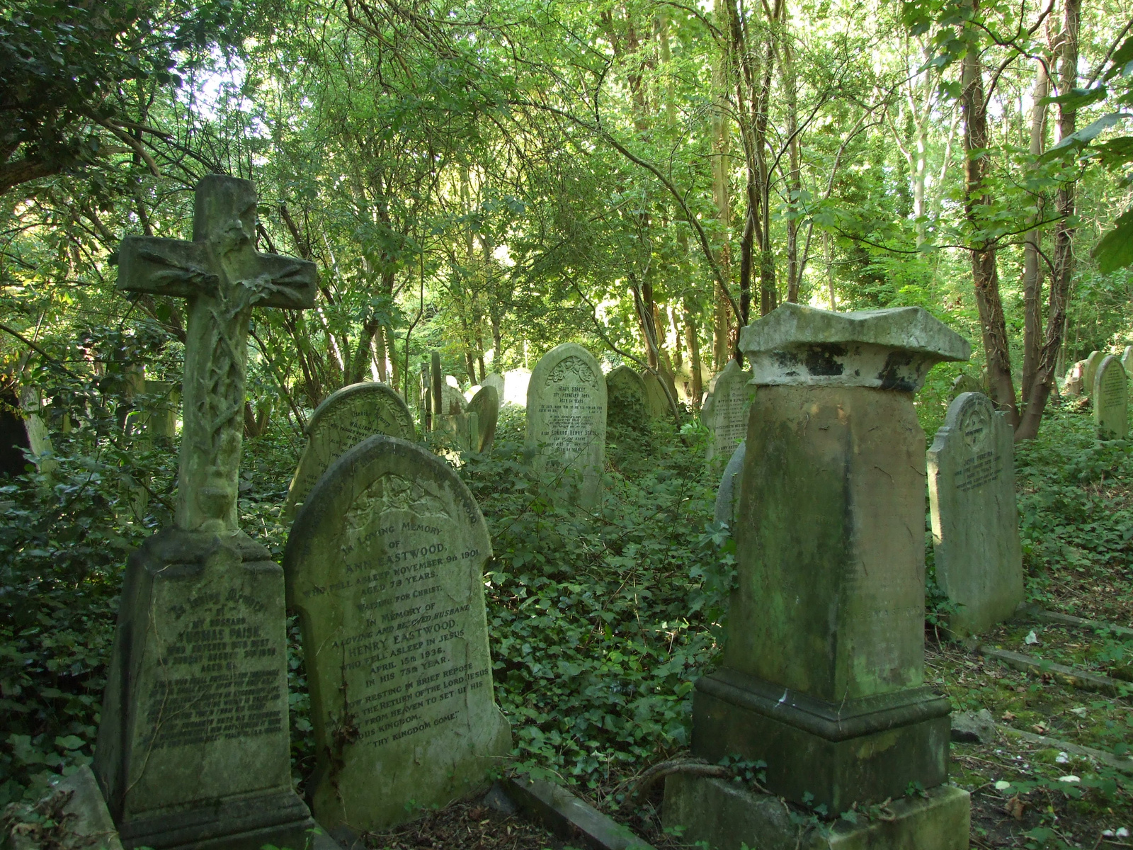 Abney Park (1)