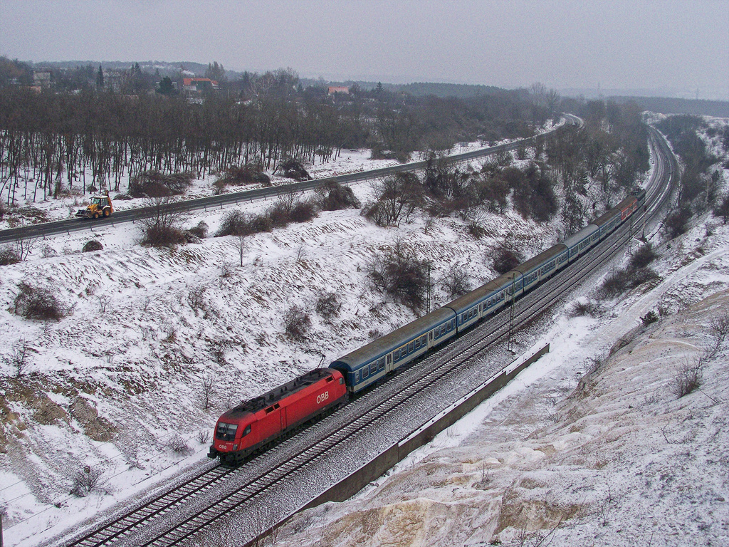 1116 005 - 2 Szár (2010.12.30).