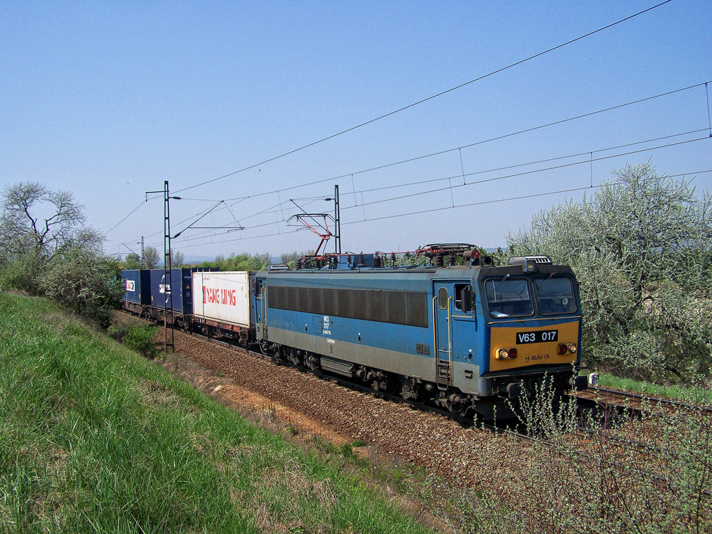 V63 - 017 Biatorbágy (2011.04.23)01