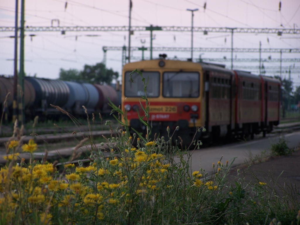 Bzmot - 226 Sárbogárd (2011.06.14).