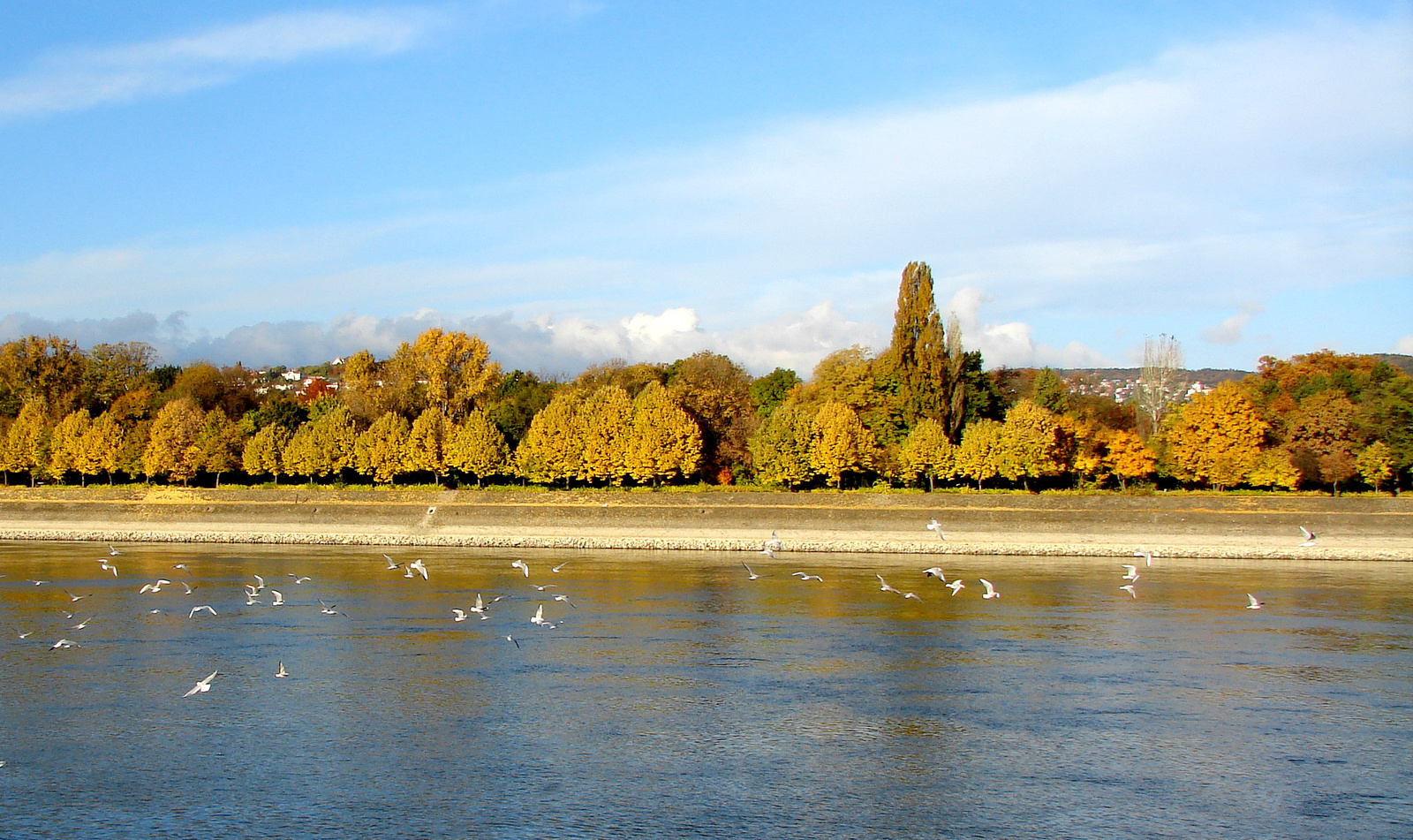 Budapestre beszökött az ősz..