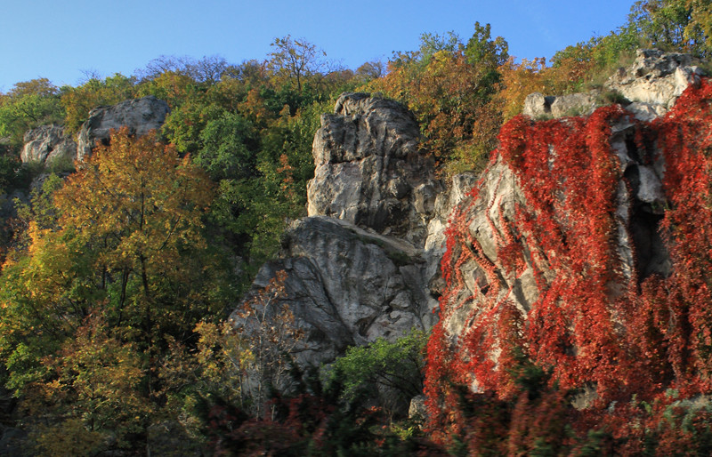 Gellért-hegy-őszi-színei