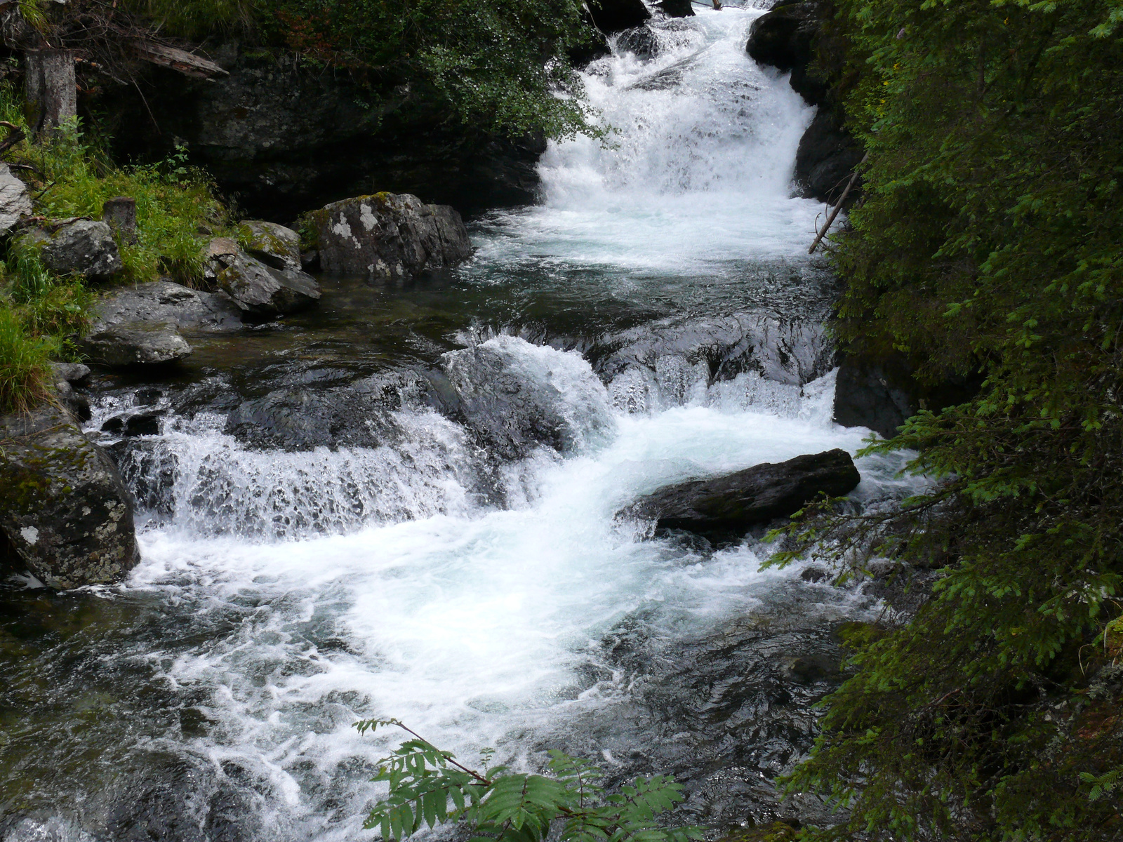 Riesach Wasserfall (22)