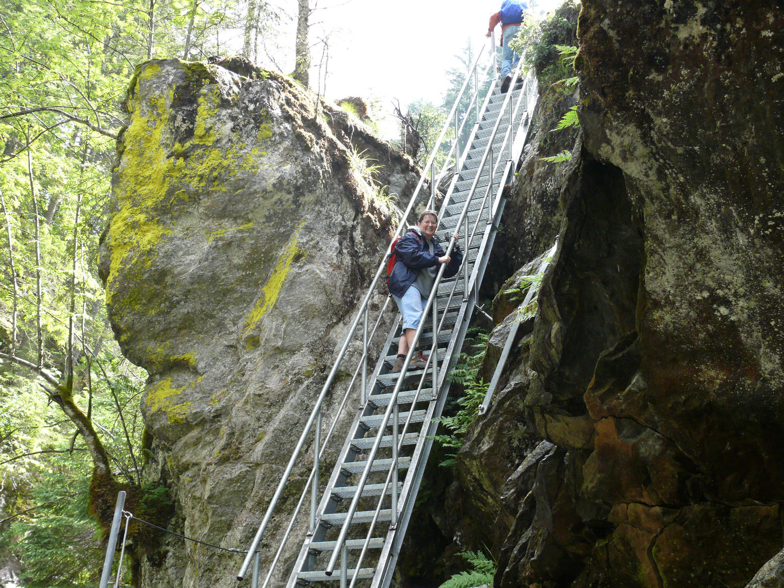 Riesach Wasserfall (53)