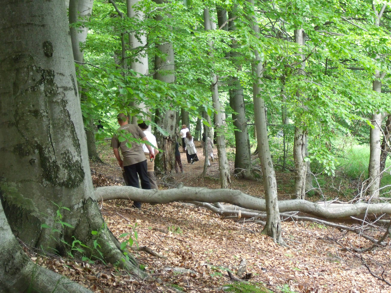 Vihorlát, 2010.05.28-30. 052