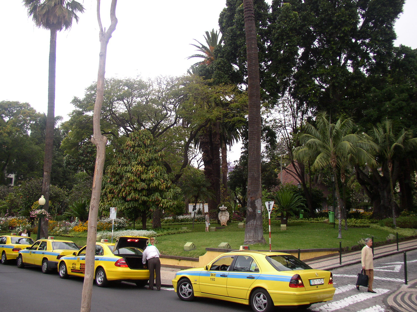 madeira2007 014