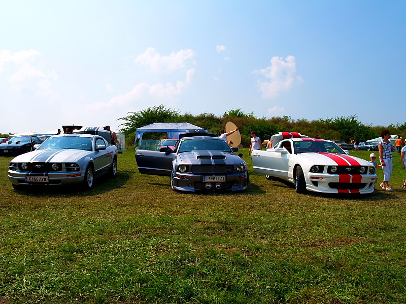 Ford Mustang combo