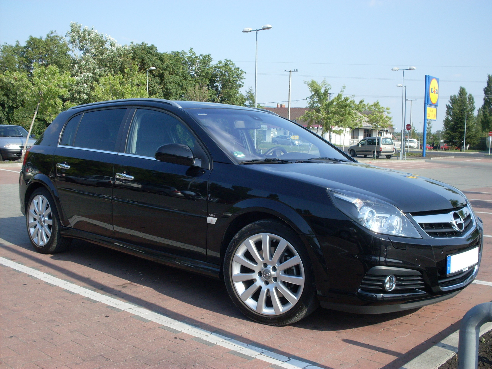 Opel Signum V6 CDTI