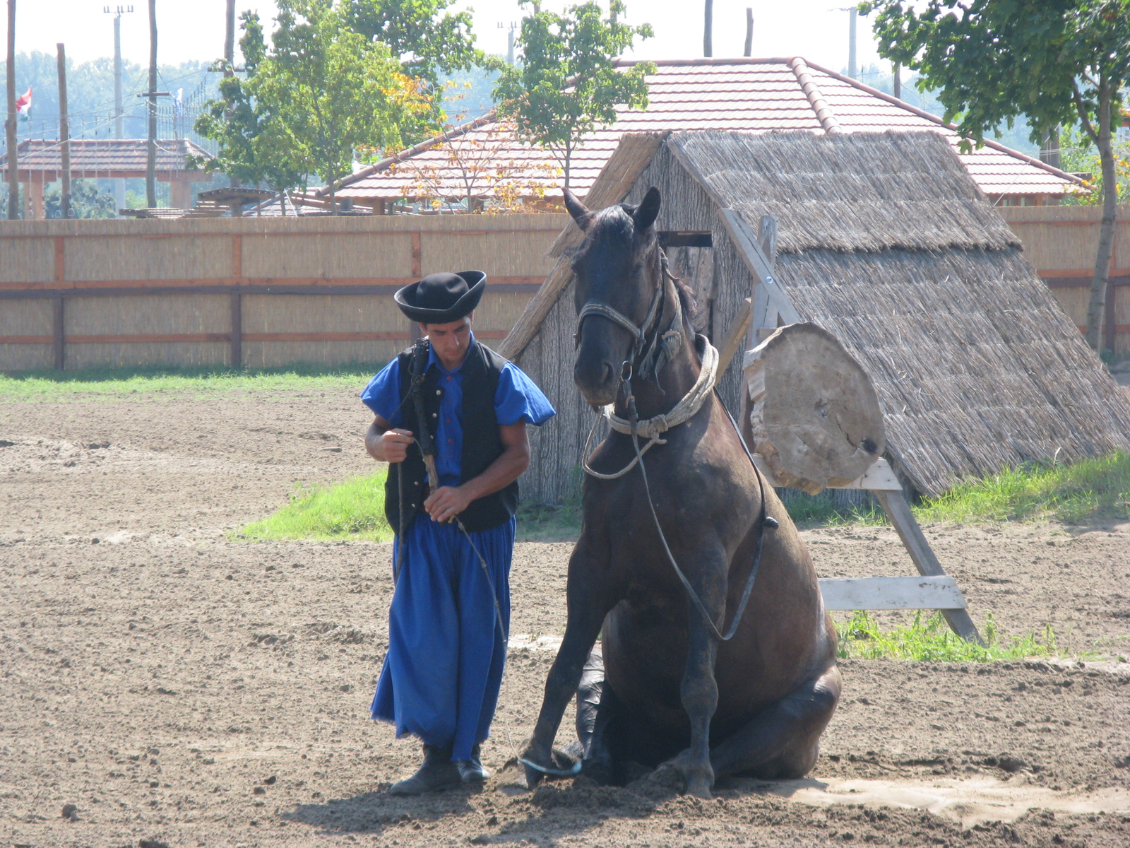 Az ülésszak