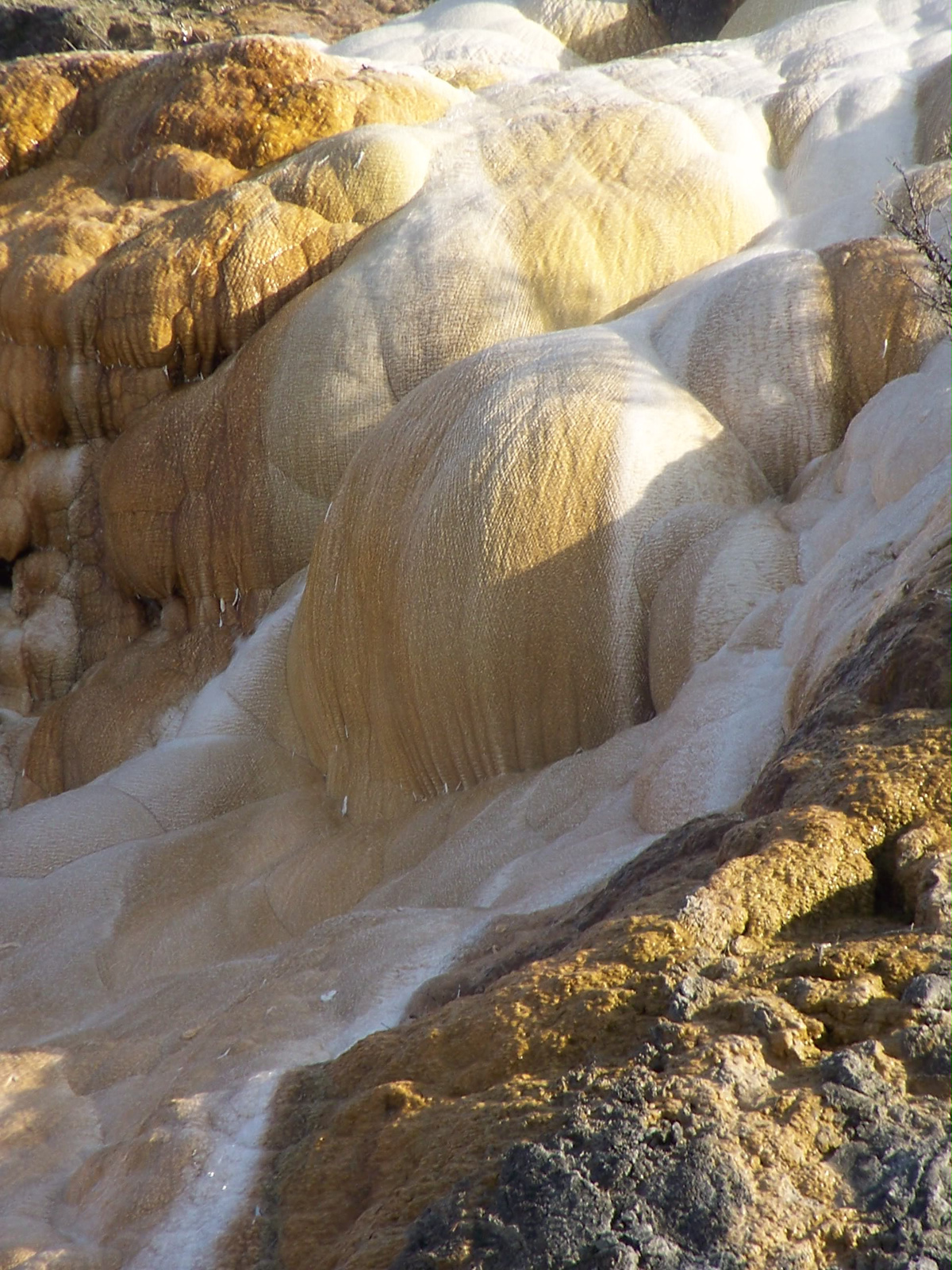 Yellowstone Mammoth terraces