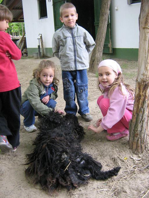 2009.06.04. Erdei óvoda Jánoshalma 049