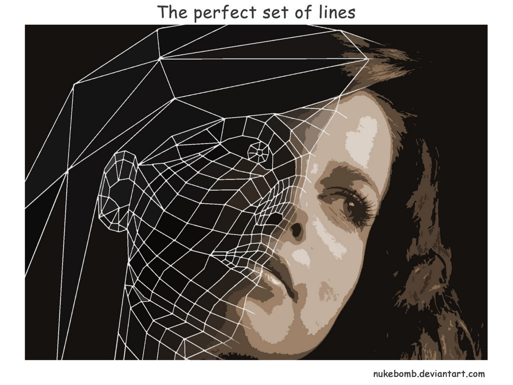 The perfect set of lines