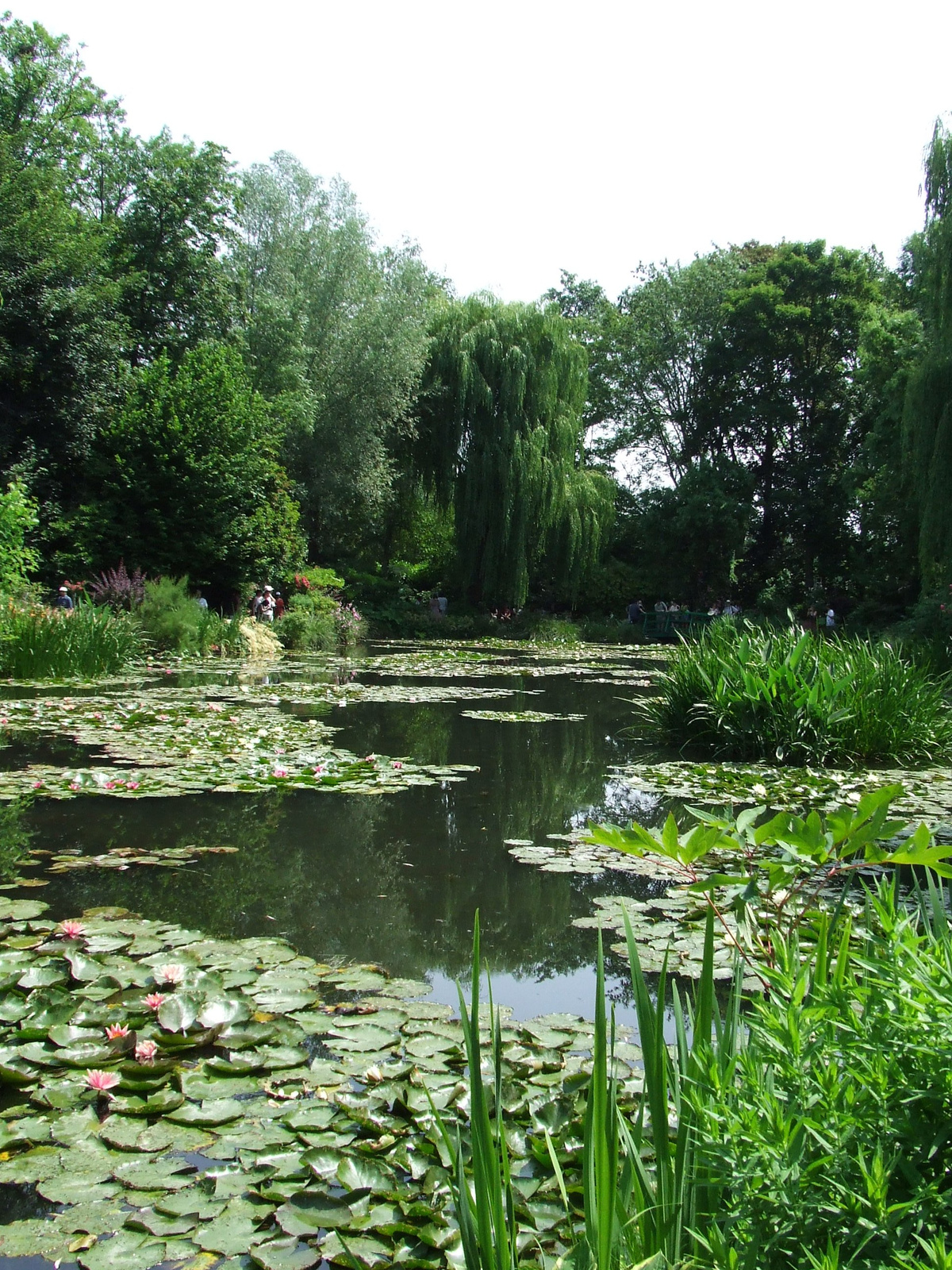 6. nap Giverny